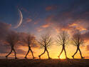 the Illusion of Movement