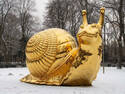 golden snail