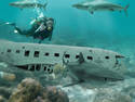 Safe diving area?