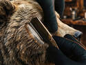 Just a trim, please