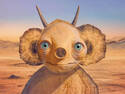 Desert mock turtle