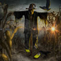 Scarecrow with crocs