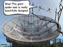 Giant spider web